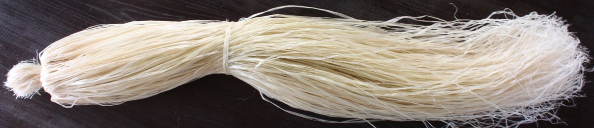 Ramie / China Grass